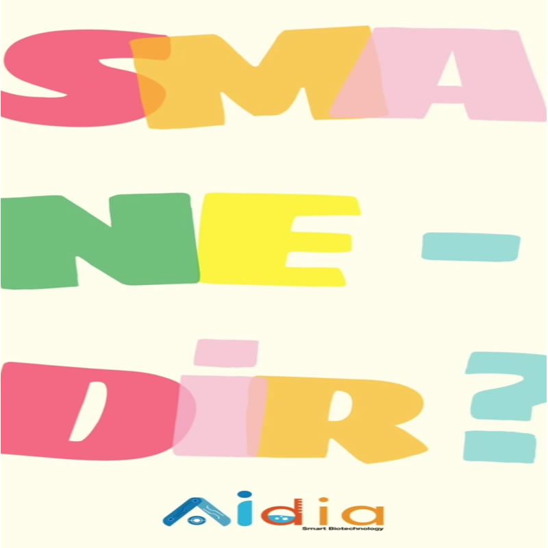 Aidia-instagram-Sma-Nedir